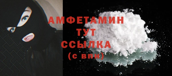 Альфа ПВП Няндома