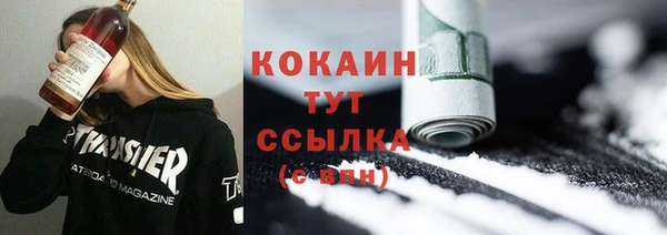 Альфа ПВП Няндома