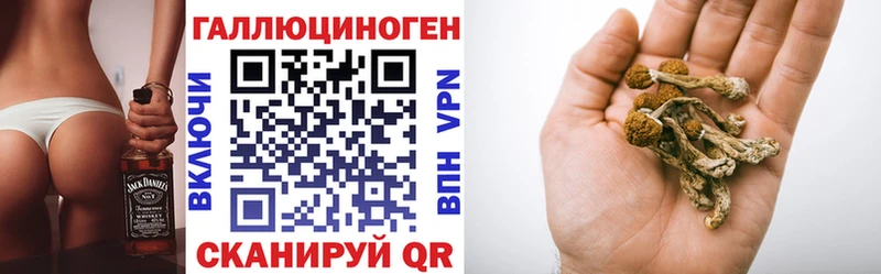 Псилоцибиновые грибы Cubensis  Купить  Власиха 